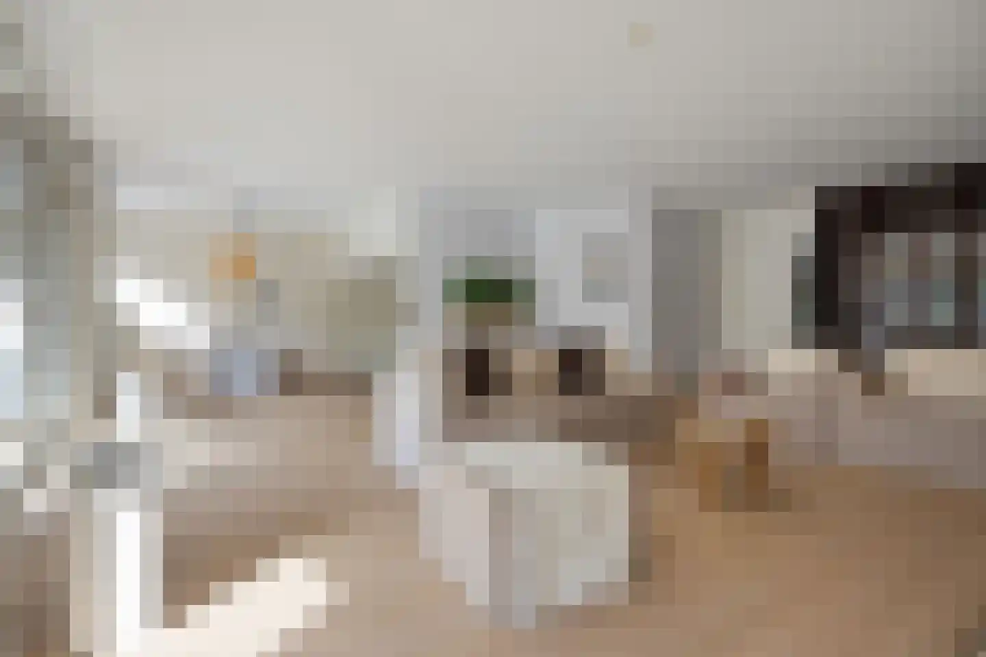 Keizerstraat 10 Rosmalen thumbnail 9
