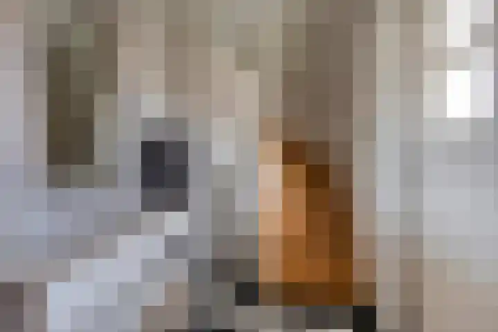 Keizerstraat 10 Someren thumbnail 5