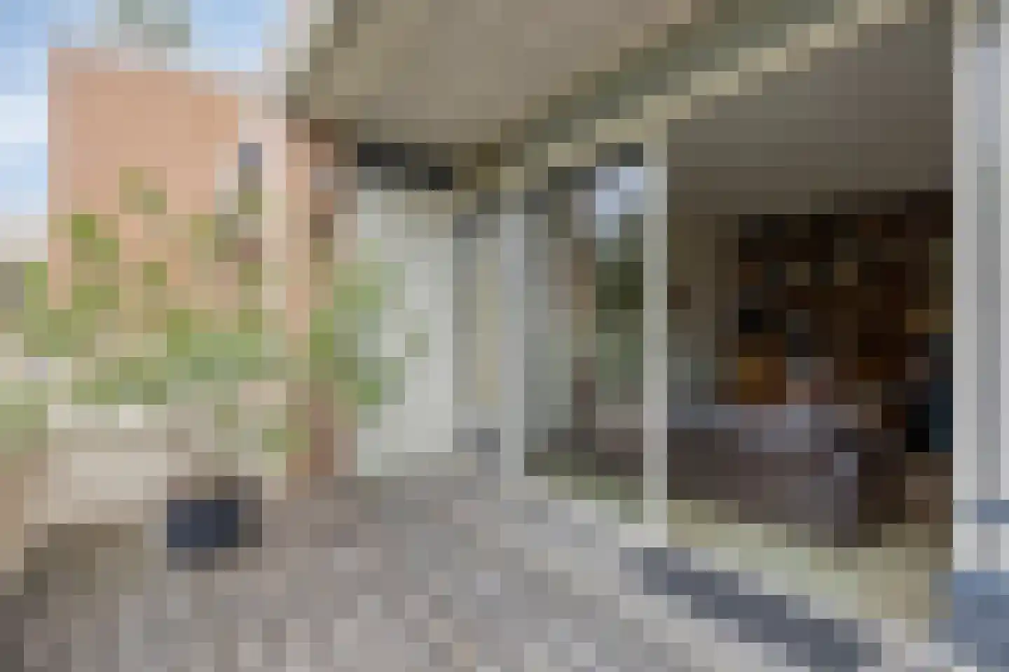 Keizerstraat 12 Rosmalen thumbnail 12