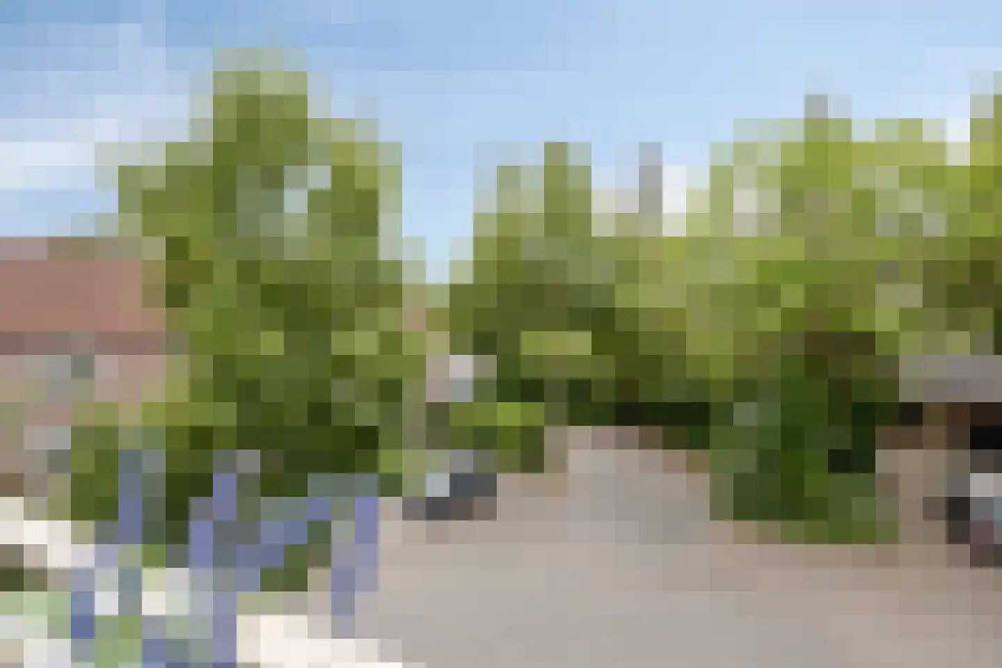 Keizerstraat 12 Rosmalen thumbnail 13
