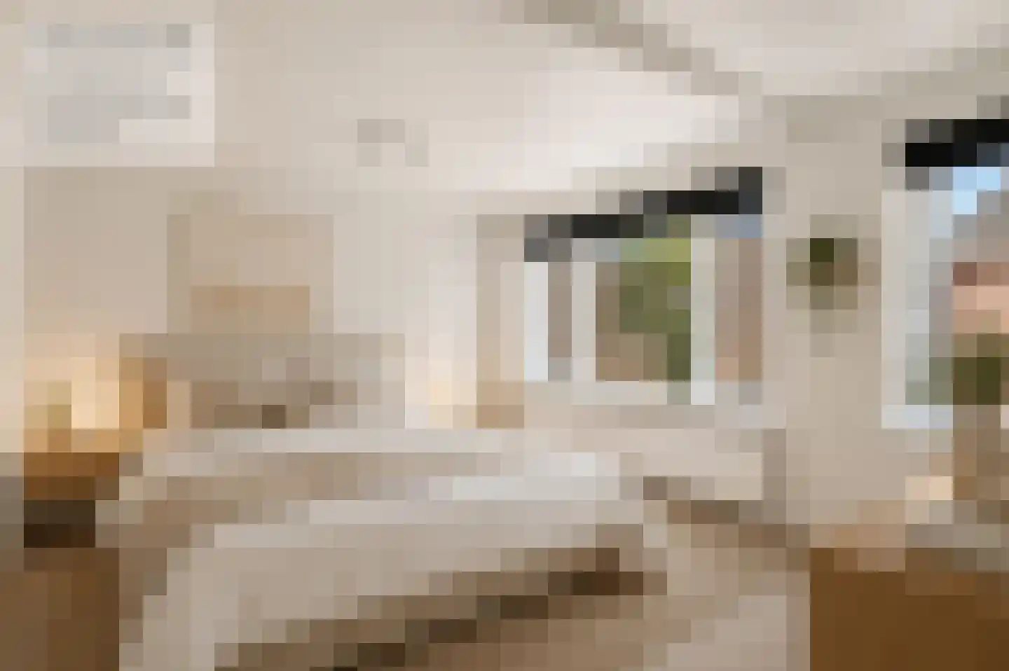 Keizerstraat 13 Harderwijk thumbnail 24