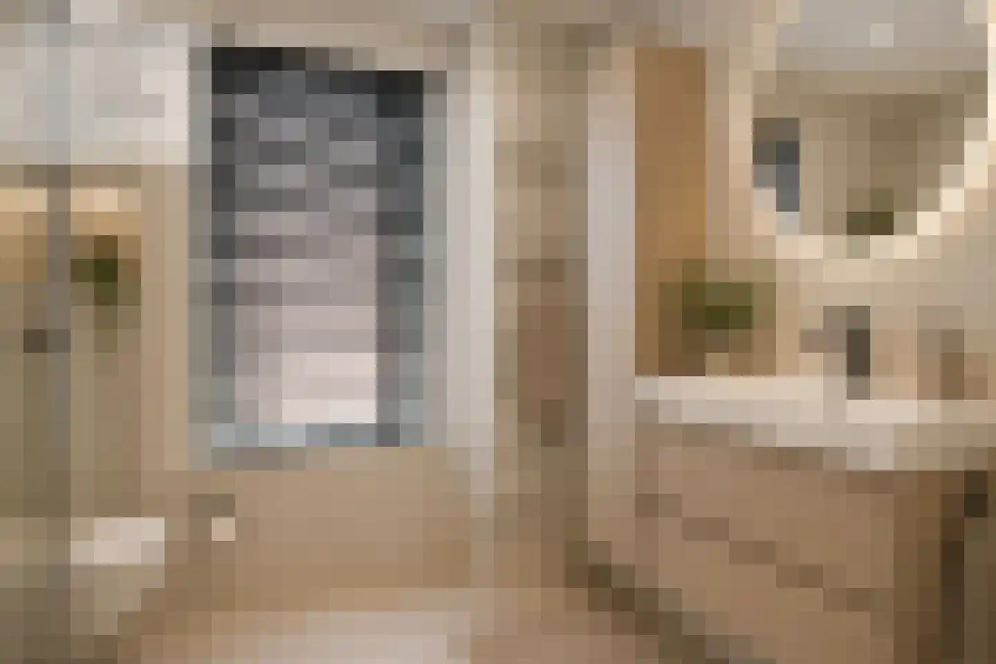Keizerstraat 13 Harderwijk thumbnail 31