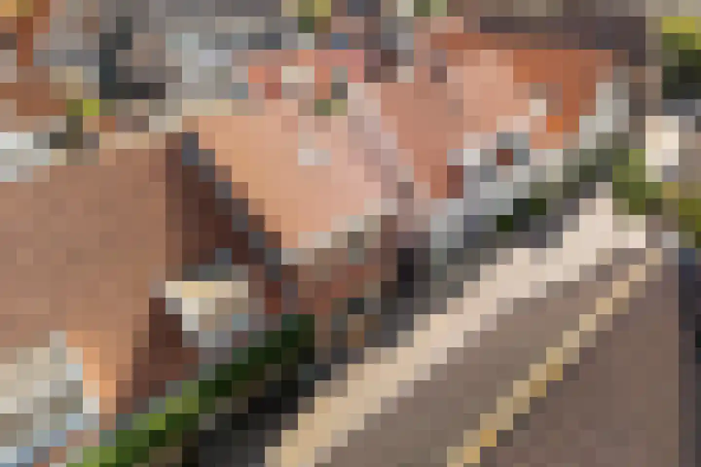 Keizerstraat 13 Harderwijk thumbnail 45