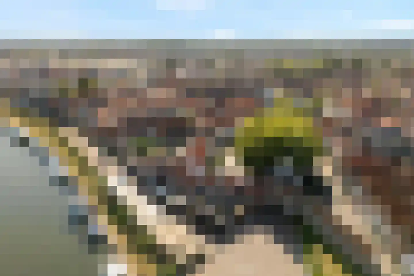 Keizerstraat 13 Harderwijk thumbnail 49