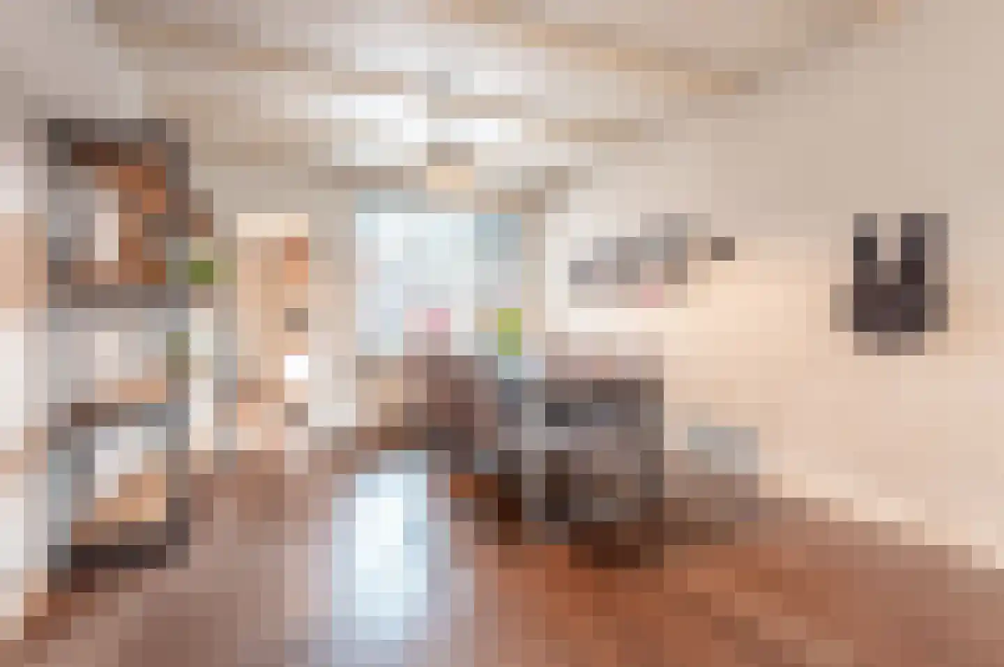 Keizerstraat 13 Harderwijk thumbnail 5