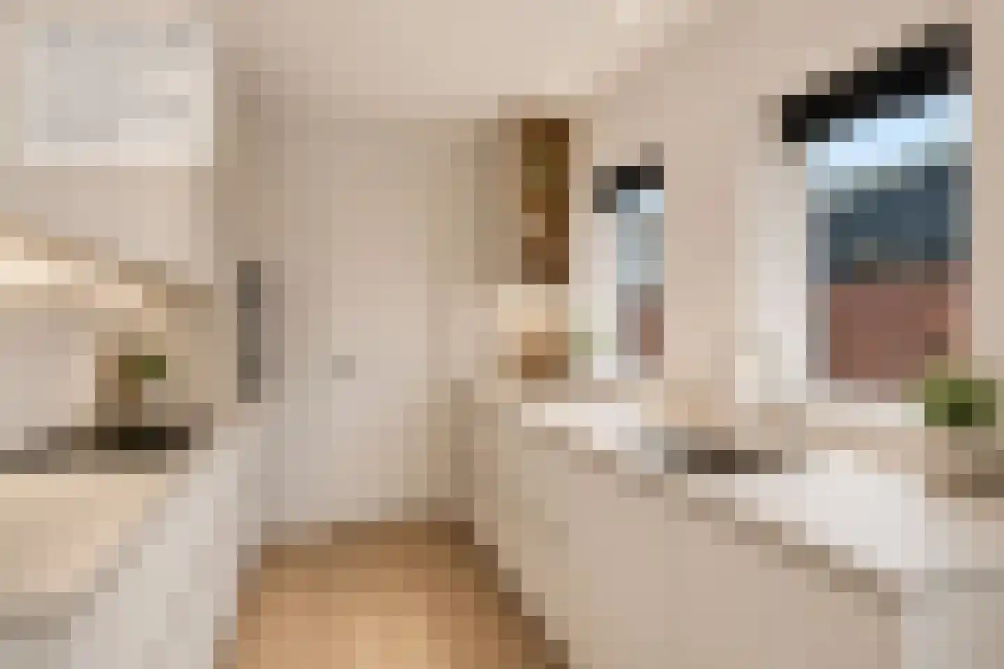 Keizerstraat 13 Harderwijk thumbnail 5