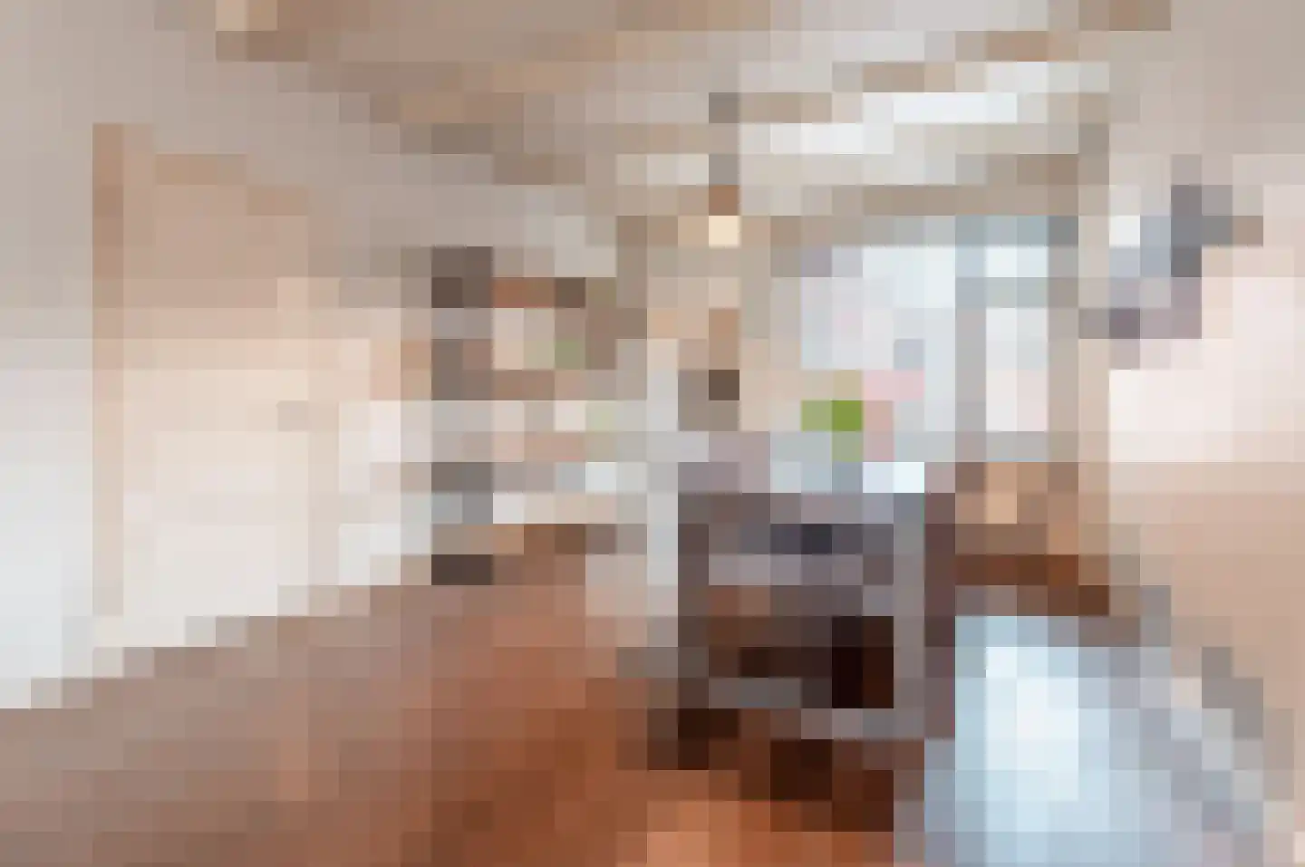 Keizerstraat 13 Harderwijk thumbnail 6