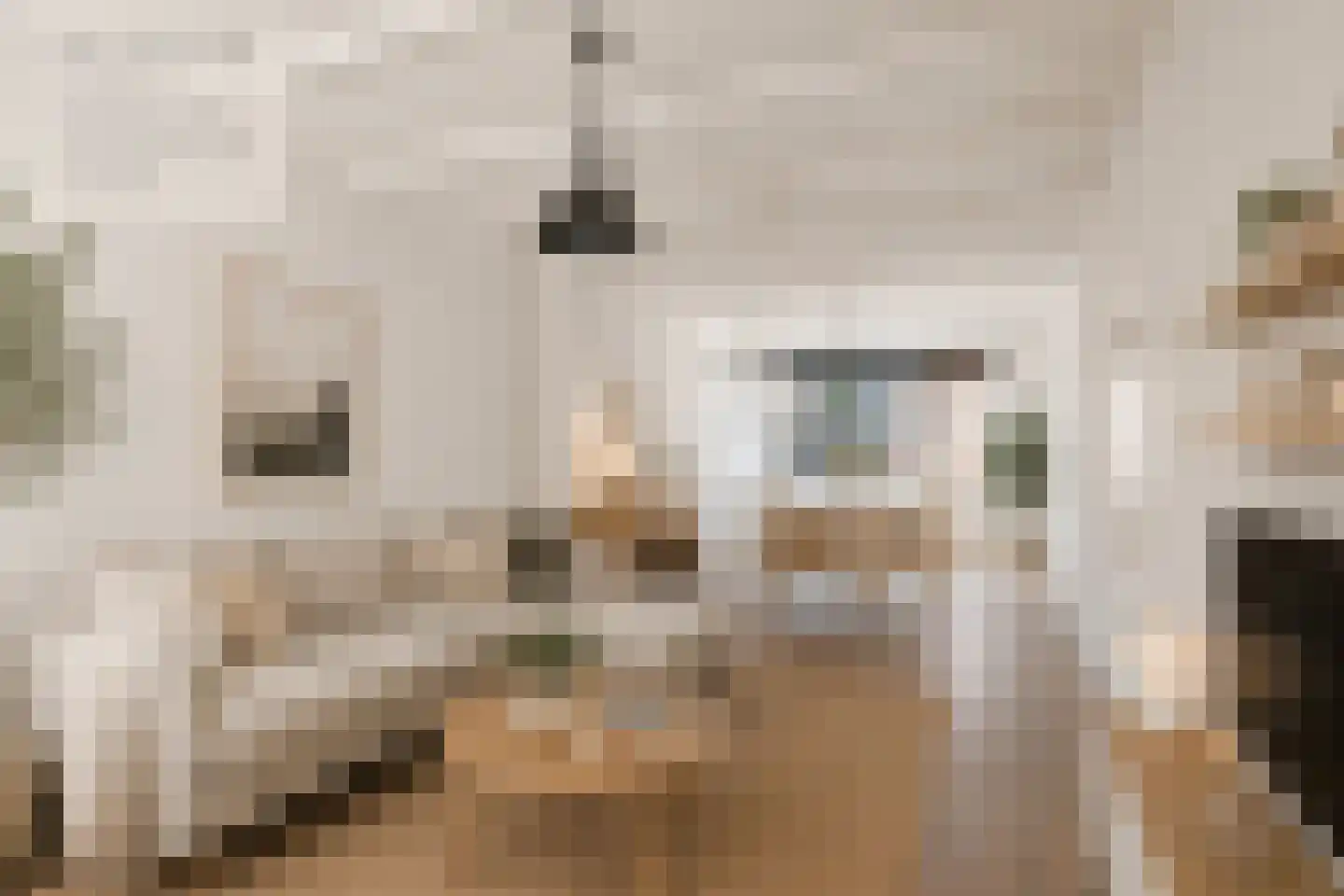 Keizerstraat 13 Harderwijk thumbnail 9