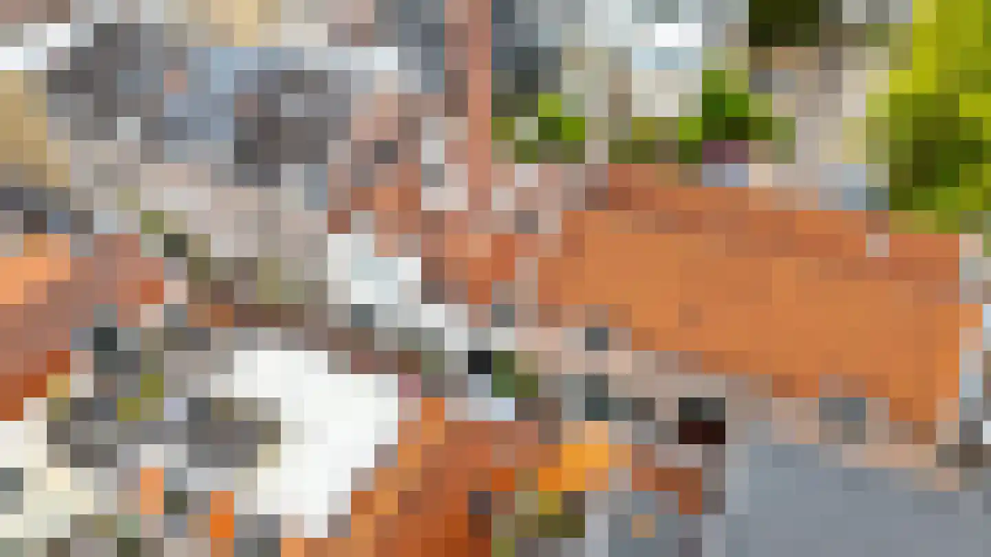 Keizerstraat 16 G Utrecht thumbnail 34