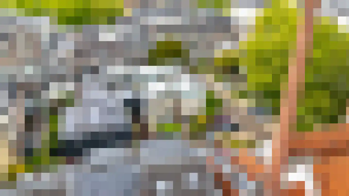 Keizerstraat 16 G Utrecht thumbnail 36