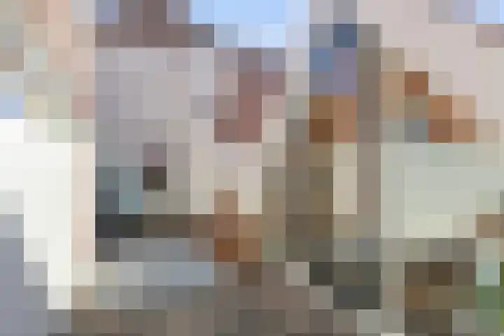Keizerstraat 16 Utrecht thumbnail 13
