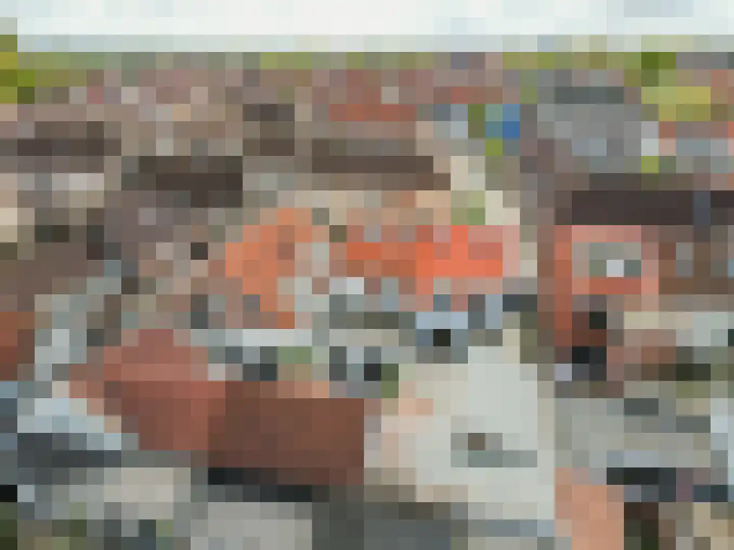 Keizerstraat 17 Harderwijk thumbnail 65