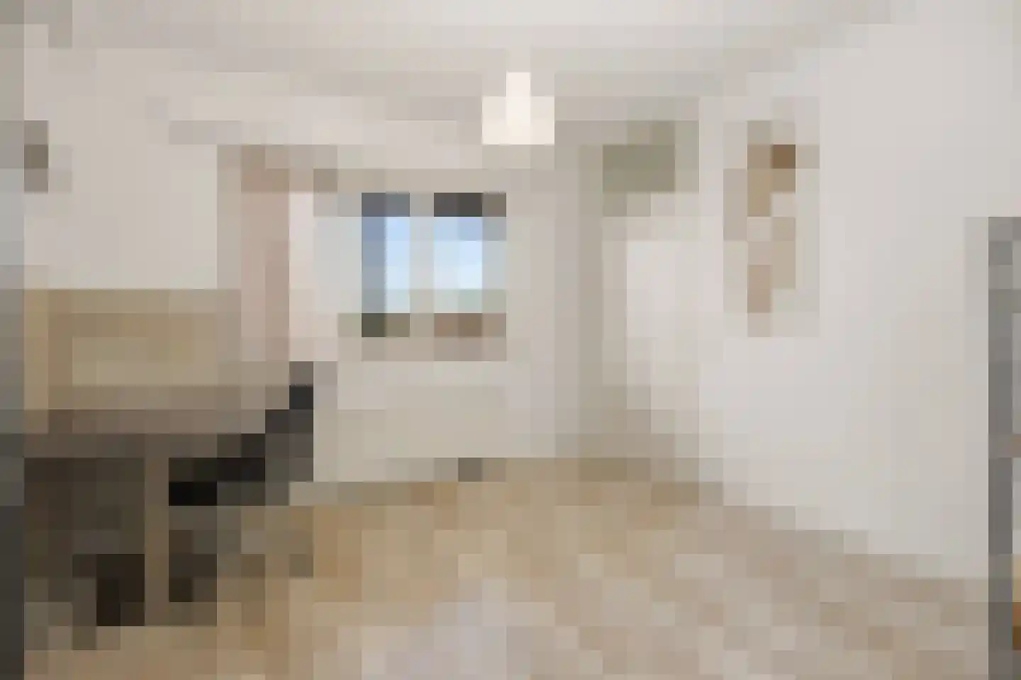 Keizerstraat 17 Rosmalen thumbnail 22
