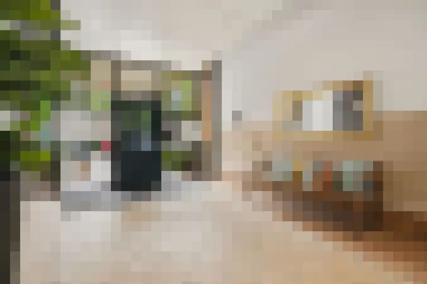 Keizerstraat 17 Rosmalen thumbnail 24