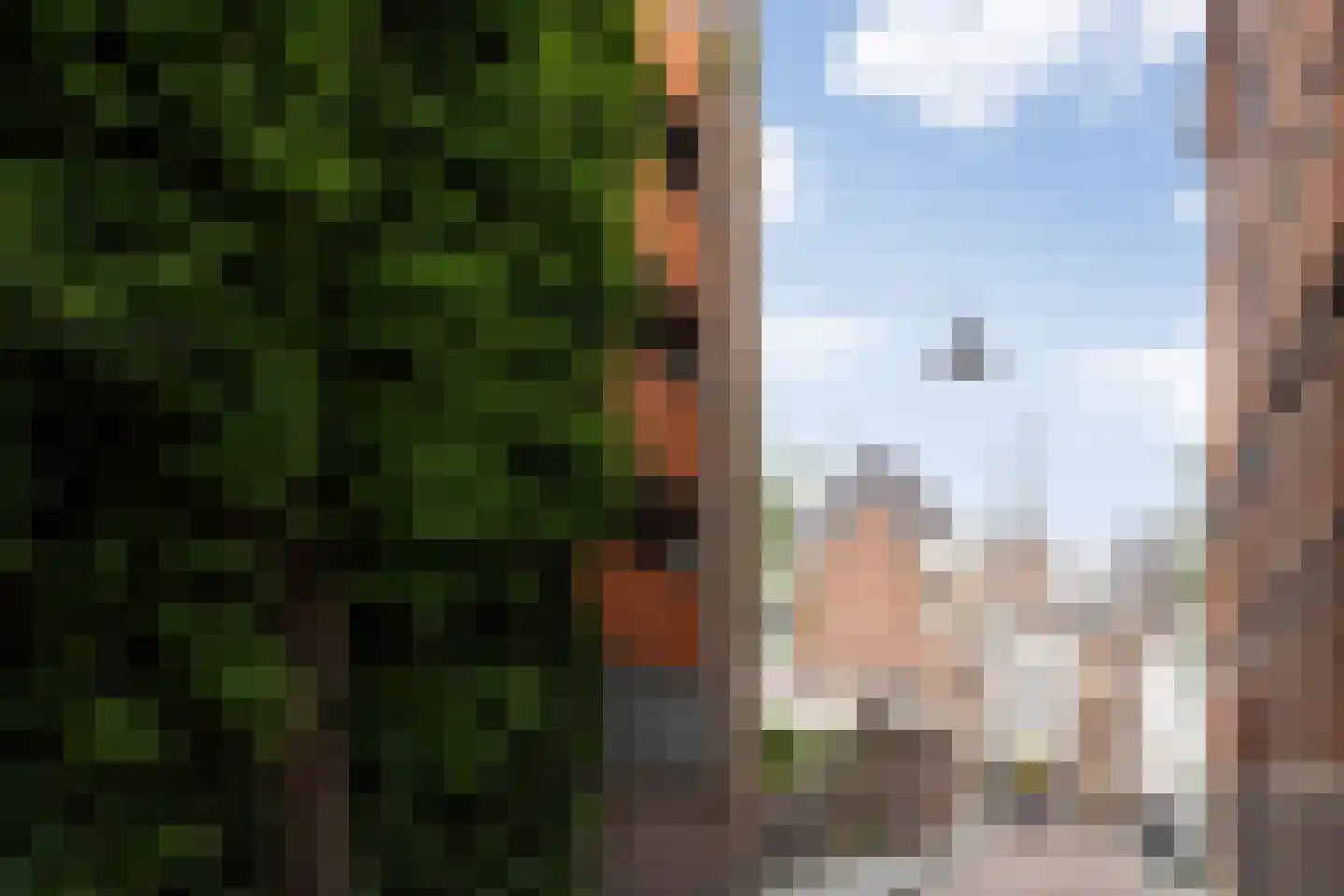 Keizerstraat 17 's-Hertogenbosch thumbnail 39