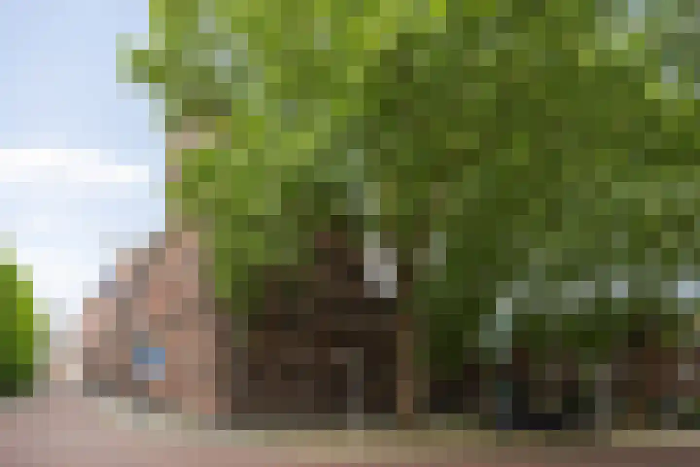Keizerstraat 17 's-Hertogenbosch thumbnail 40