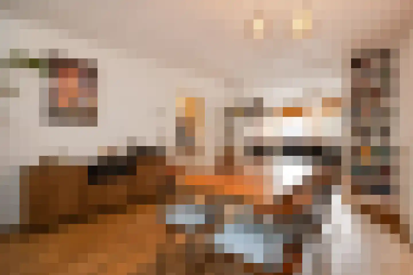 Keizerstraat 17 's-Hertogenbosch thumbnail 8
