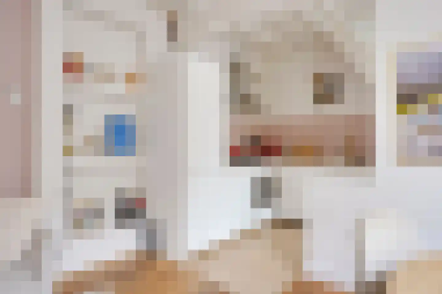 Keizerstraat 17 Utrecht thumbnail 8