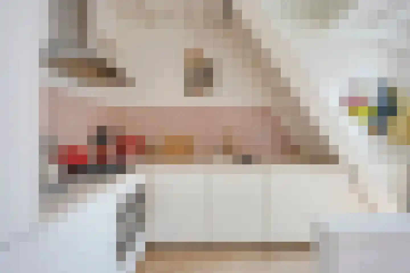 Keizerstraat 17 Utrecht thumbnail 9