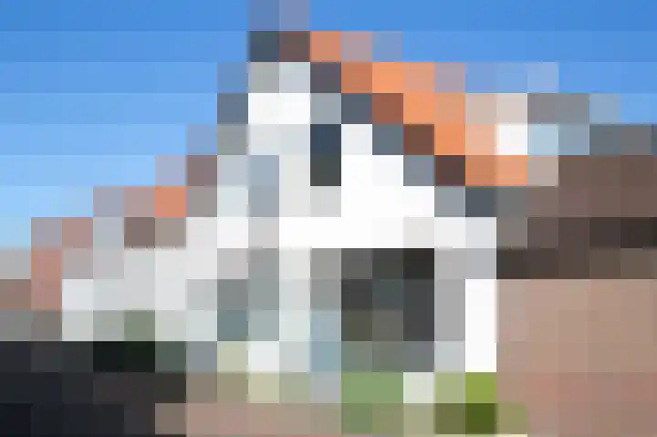 Keizerstraat 19 Harderwijk thumbnail 36