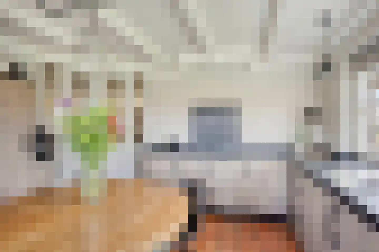 Keizerstraat 22 Beers NB thumbnail 22