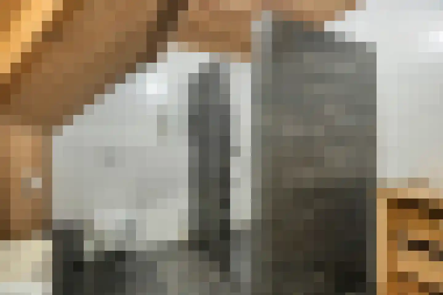 Keizerstraat 22 Beers NB thumbnail 34