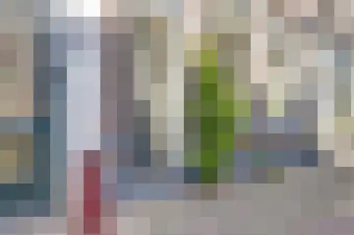 Keizerstraat 25 Gouda thumbnail 5