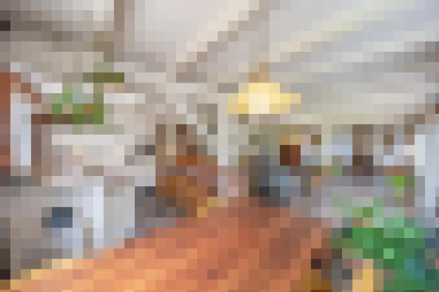 Keizerstraat 28 Montfoort thumbnail 13