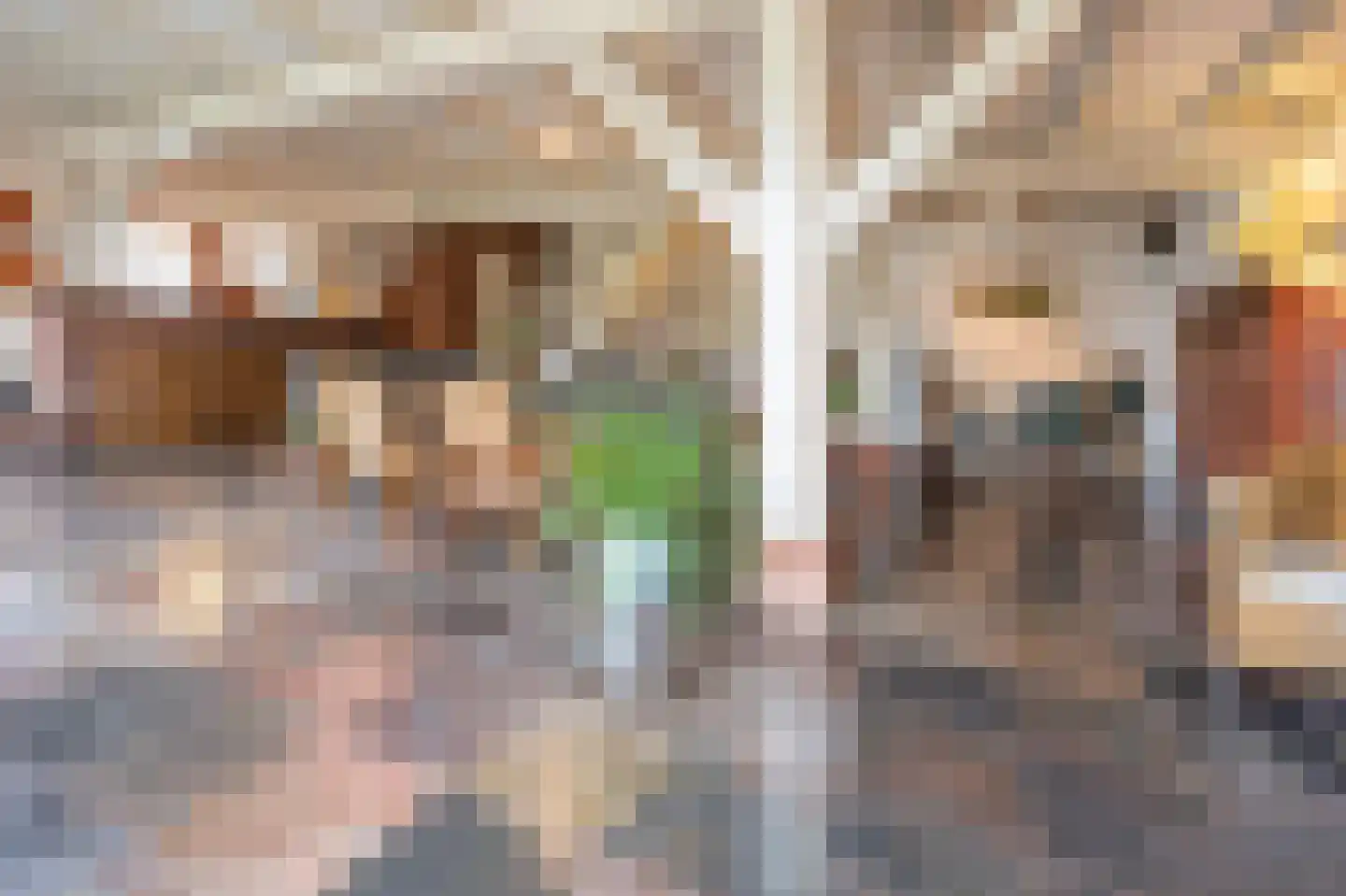 Keizerstraat 28 Montfoort thumbnail 18
