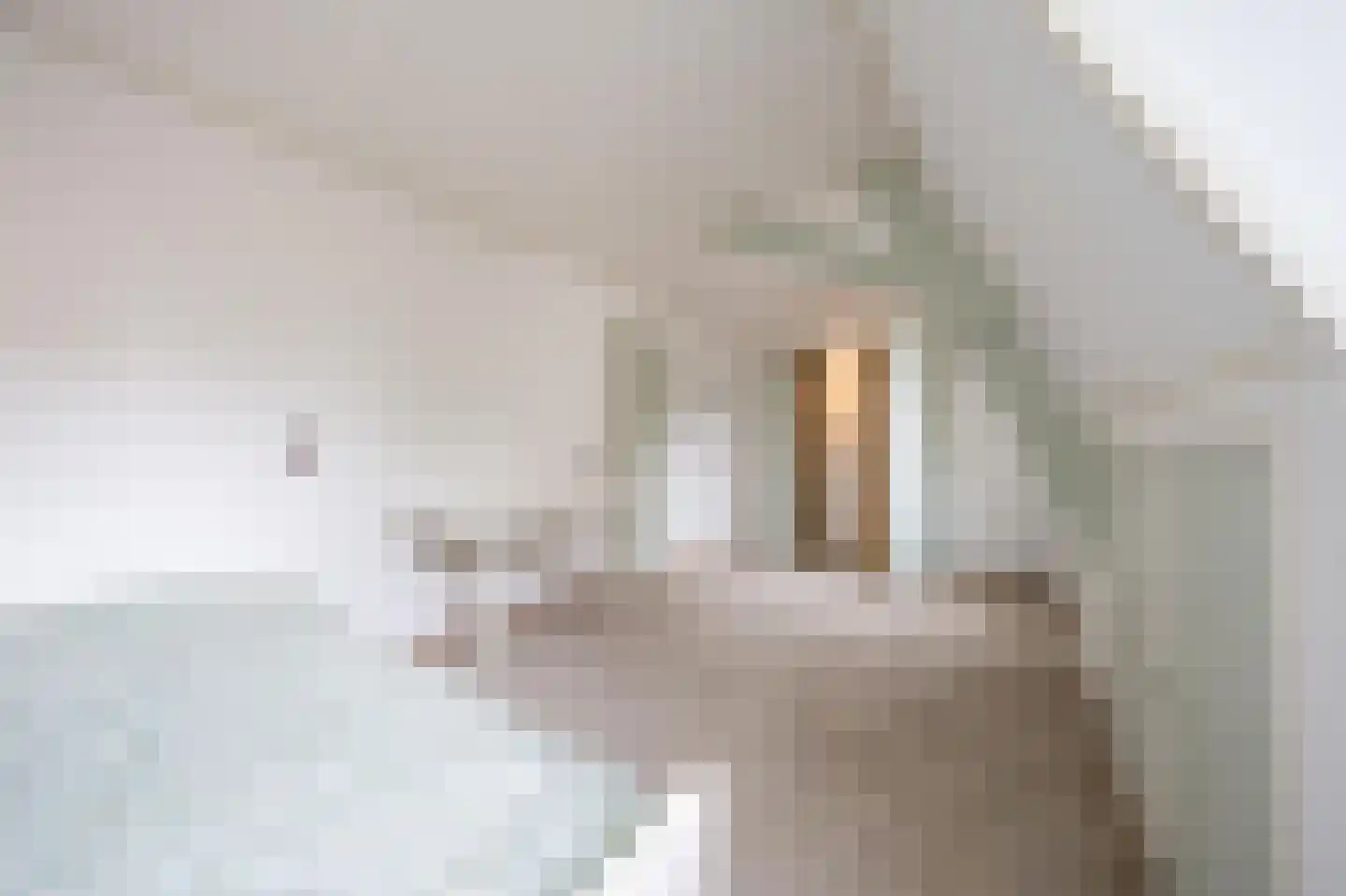 Keizerstraat 28 Montfoort thumbnail 39