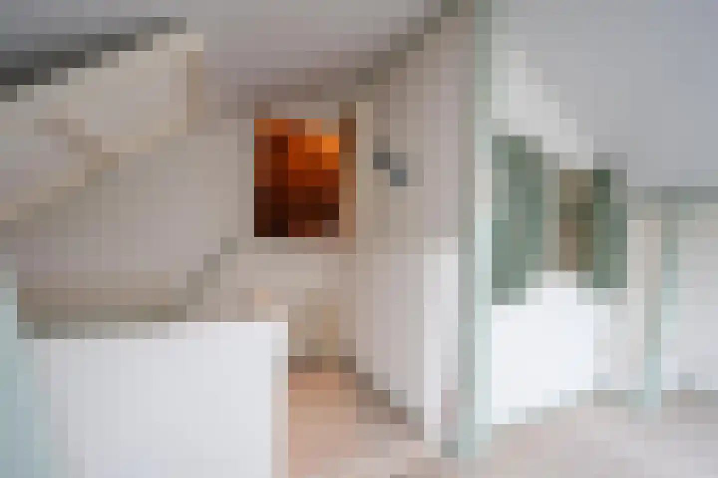 Keizerstraat 28 Montfoort thumbnail 52