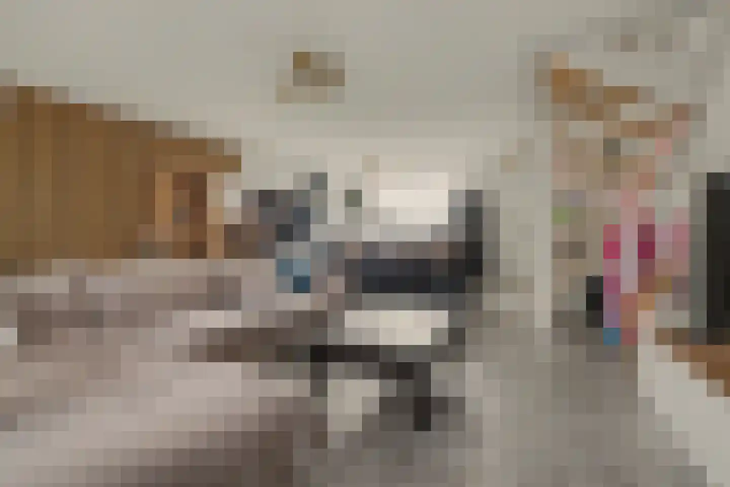 Keizerstraat 3 Putte thumbnail 12