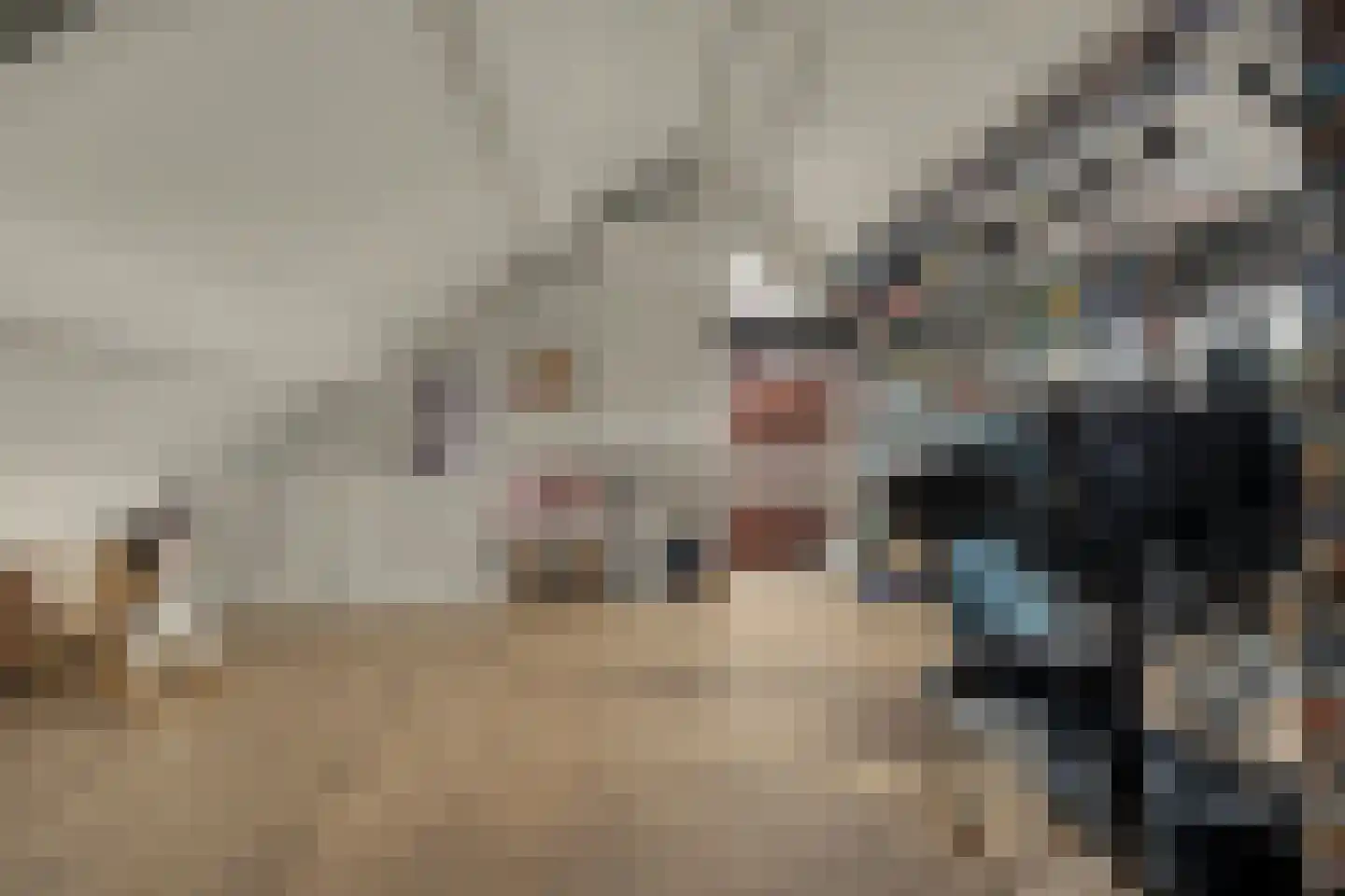 Keizerstraat 3 Putte thumbnail 30