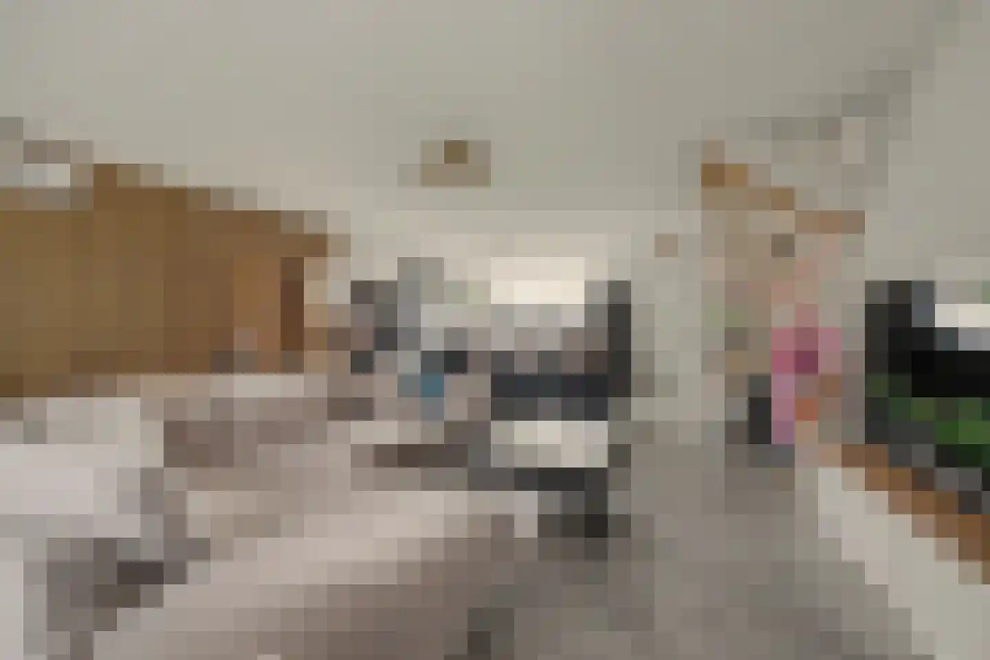 Keizerstraat 3 Putte thumbnail 7