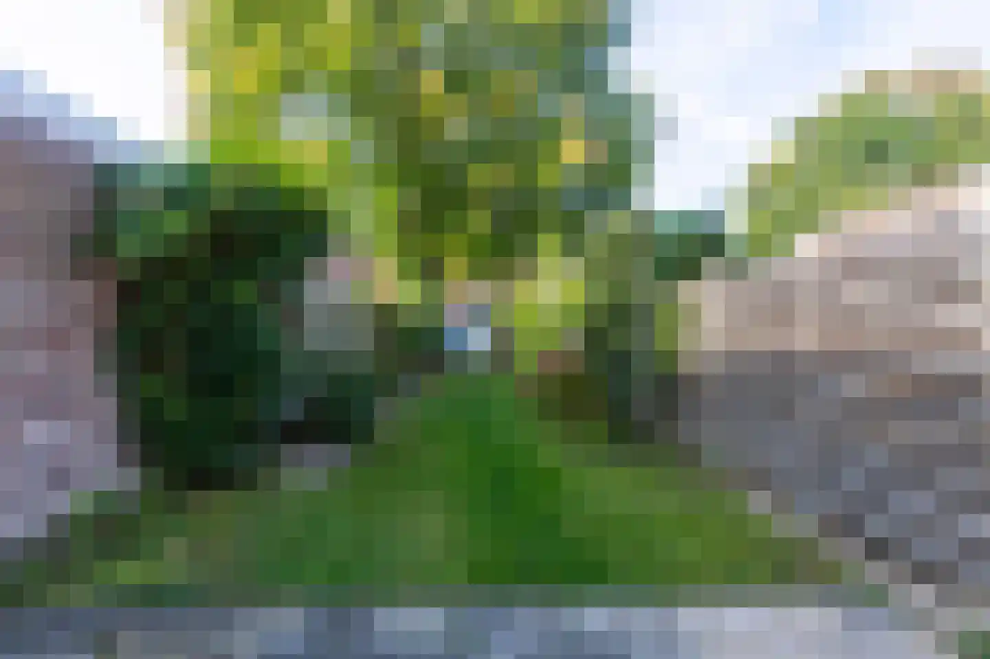 Keizerstraat 30 Landgraaf thumbnail 20