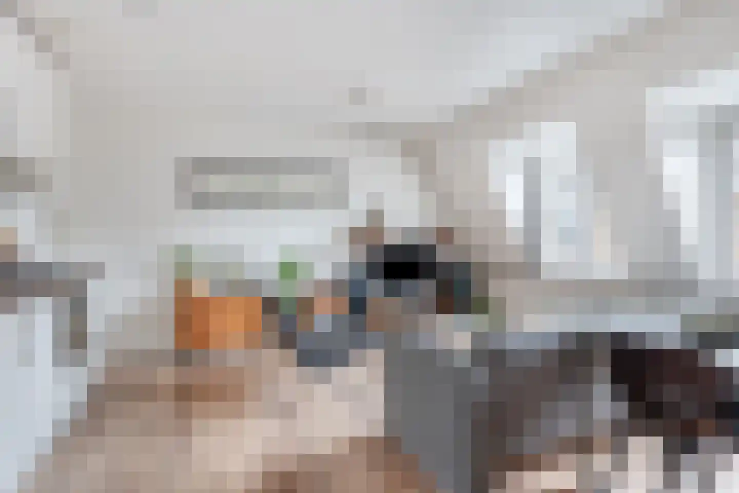 Keizerstraat 33 's-Hertogenbosch thumbnail 5