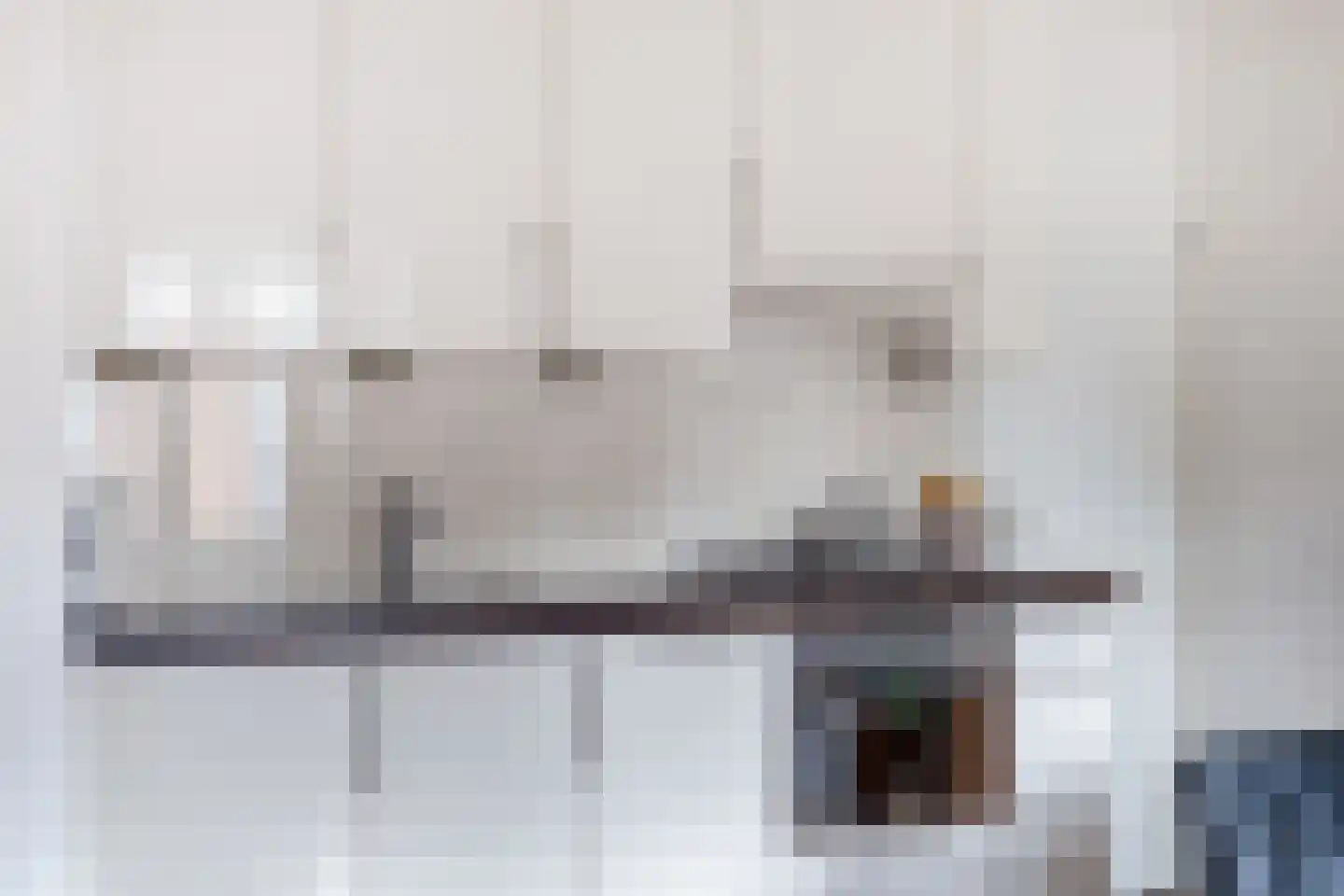 Keizerstraat 33 's-Hertogenbosch thumbnail 8