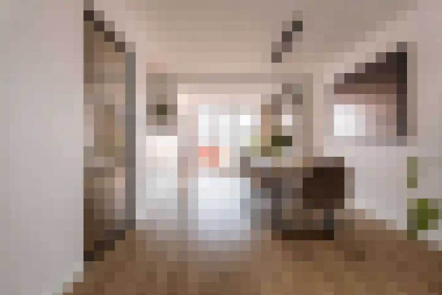 Keizerstraat 4 A Haarlem thumbnail 16