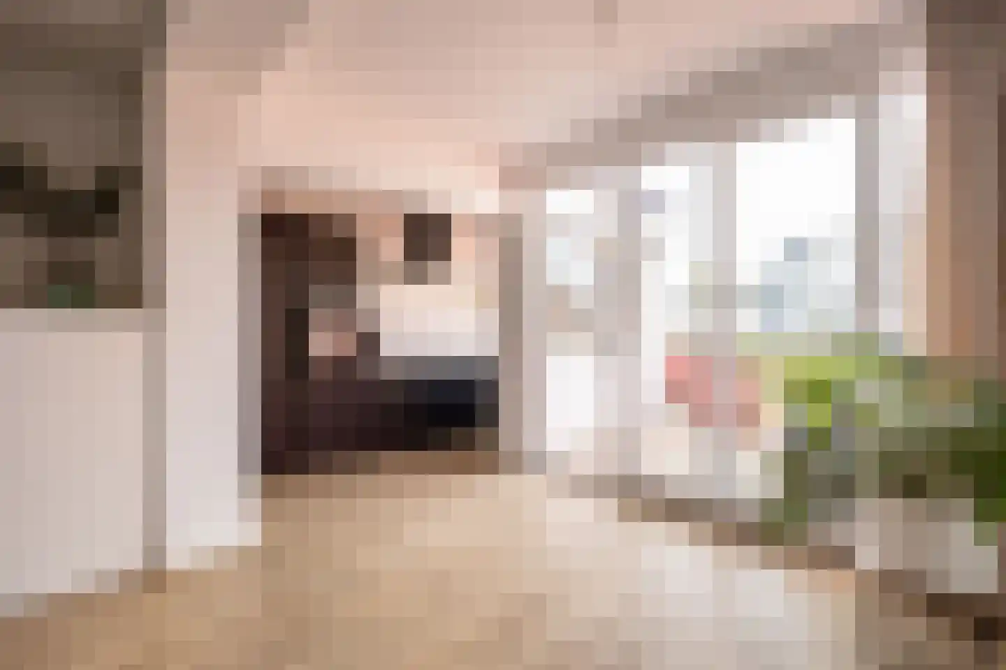 Keizerstraat 4 A Haarlem thumbnail 19