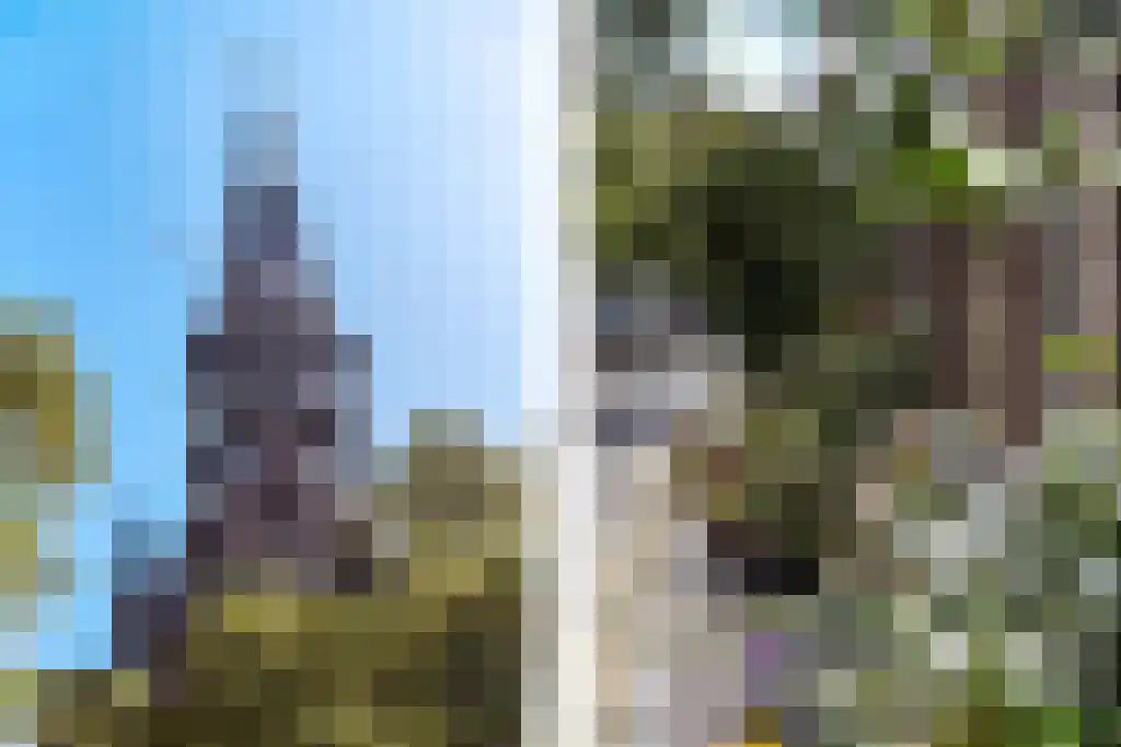 Keizerstraat 4 Haarlem thumbnail 33