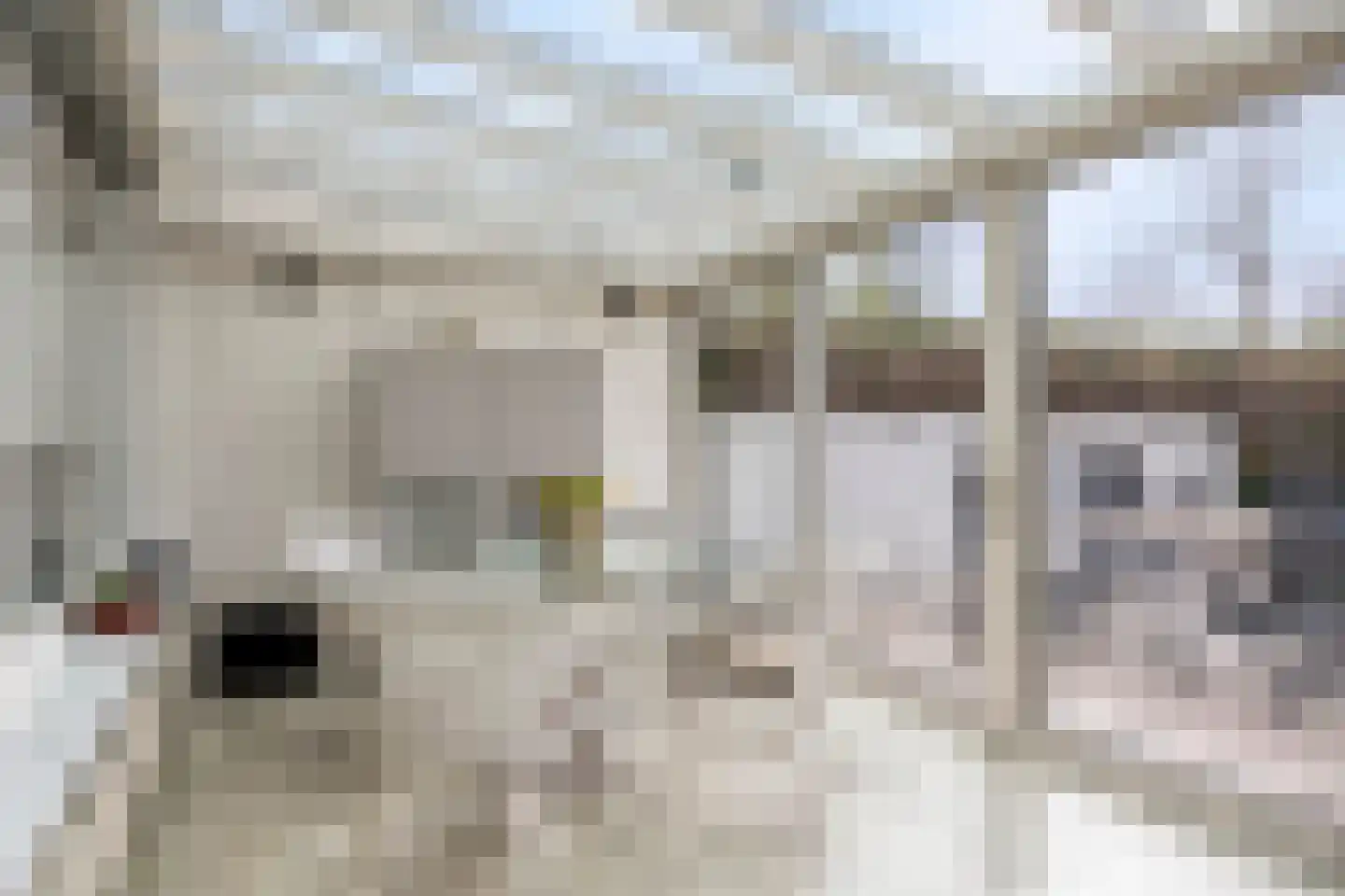Keizerstraat 4 Putte thumbnail 9