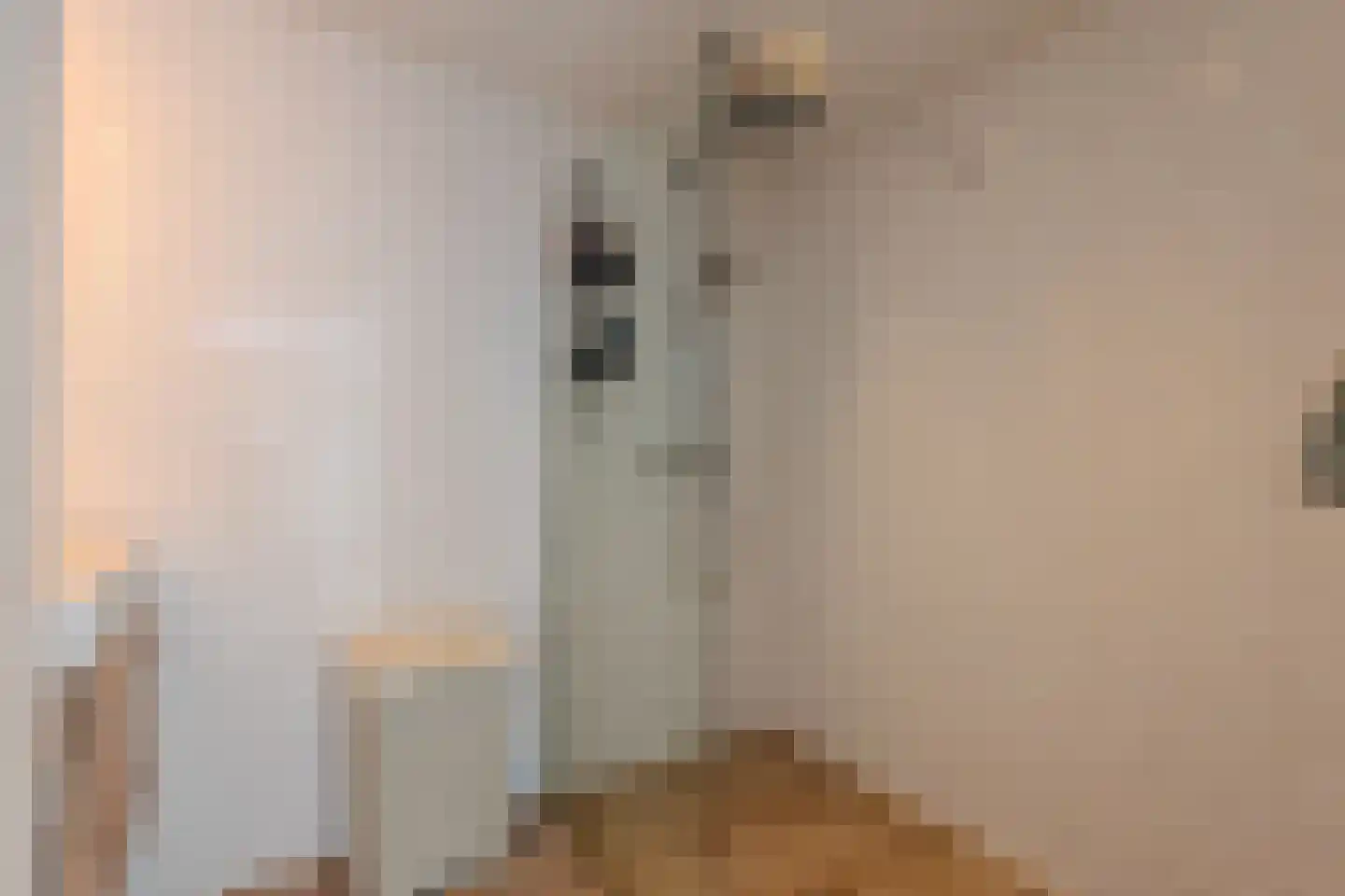 Keizerstraat 46 Putte thumbnail 16