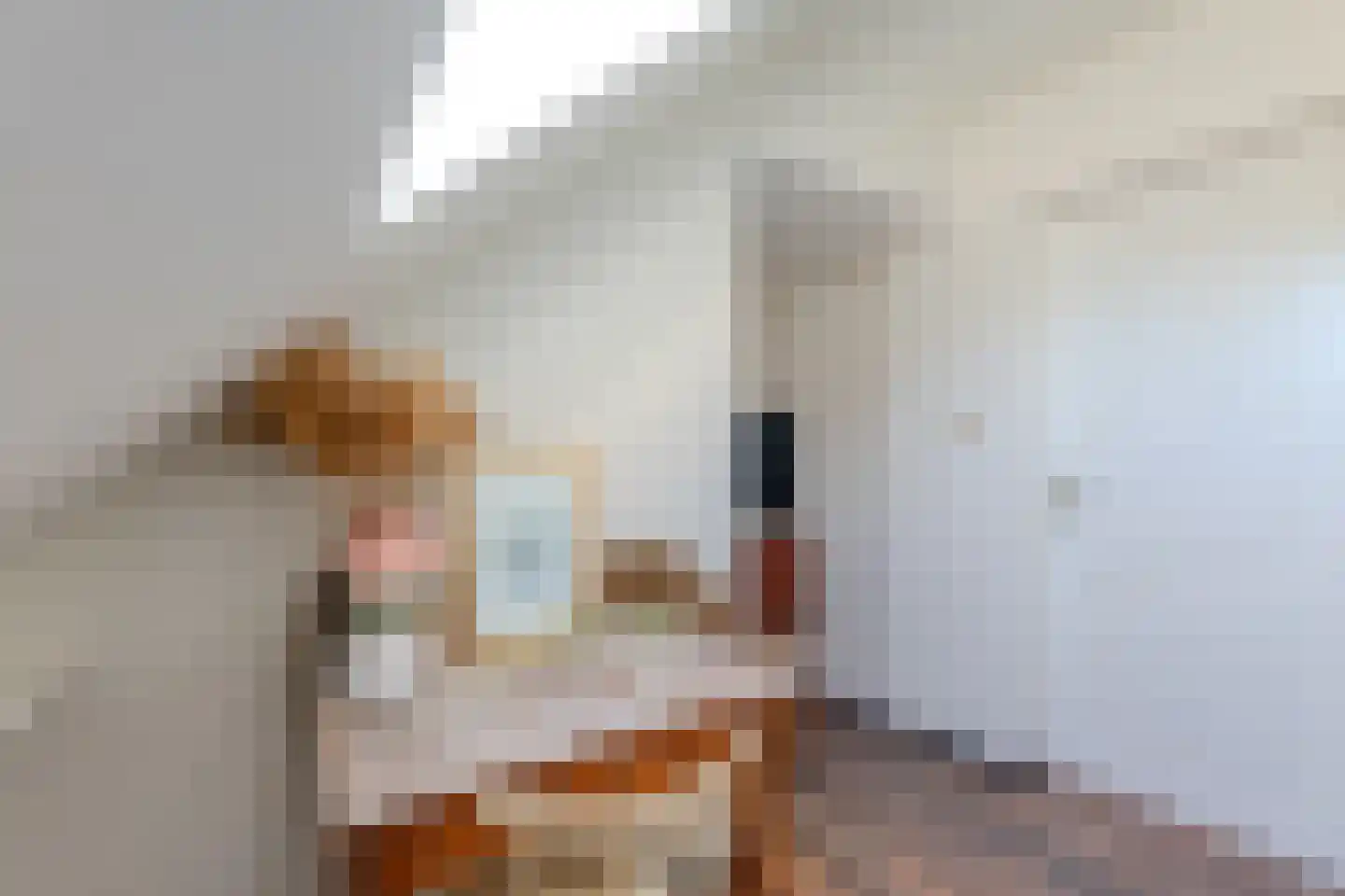 Keizerstraat 46 Putte thumbnail 19