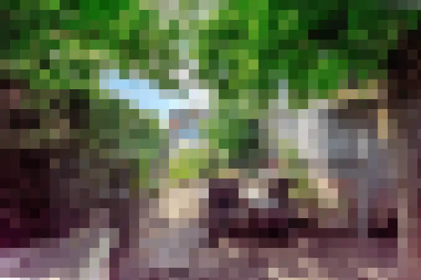 Keizerstraat 46 Putte thumbnail 30
