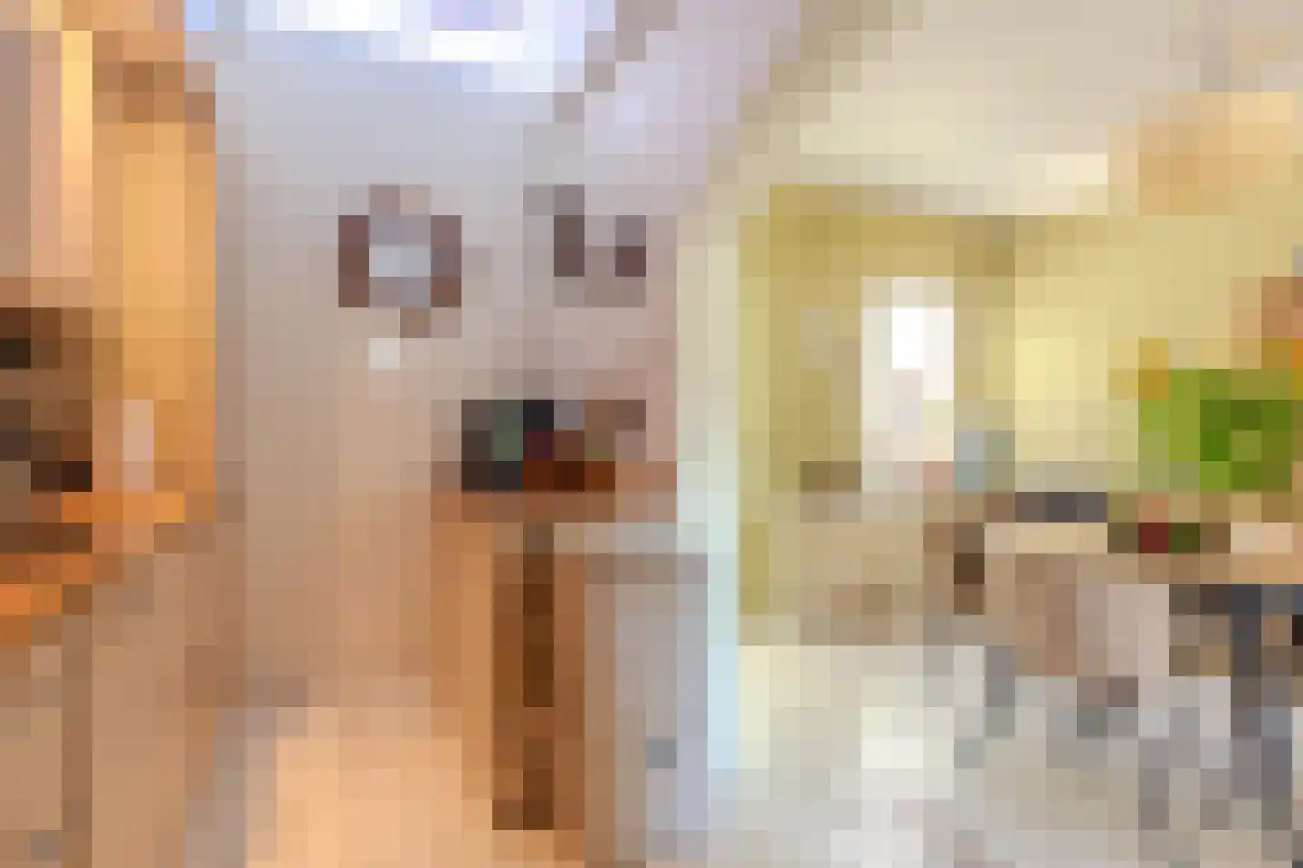Keizerstraat 46 Putte thumbnail 8
