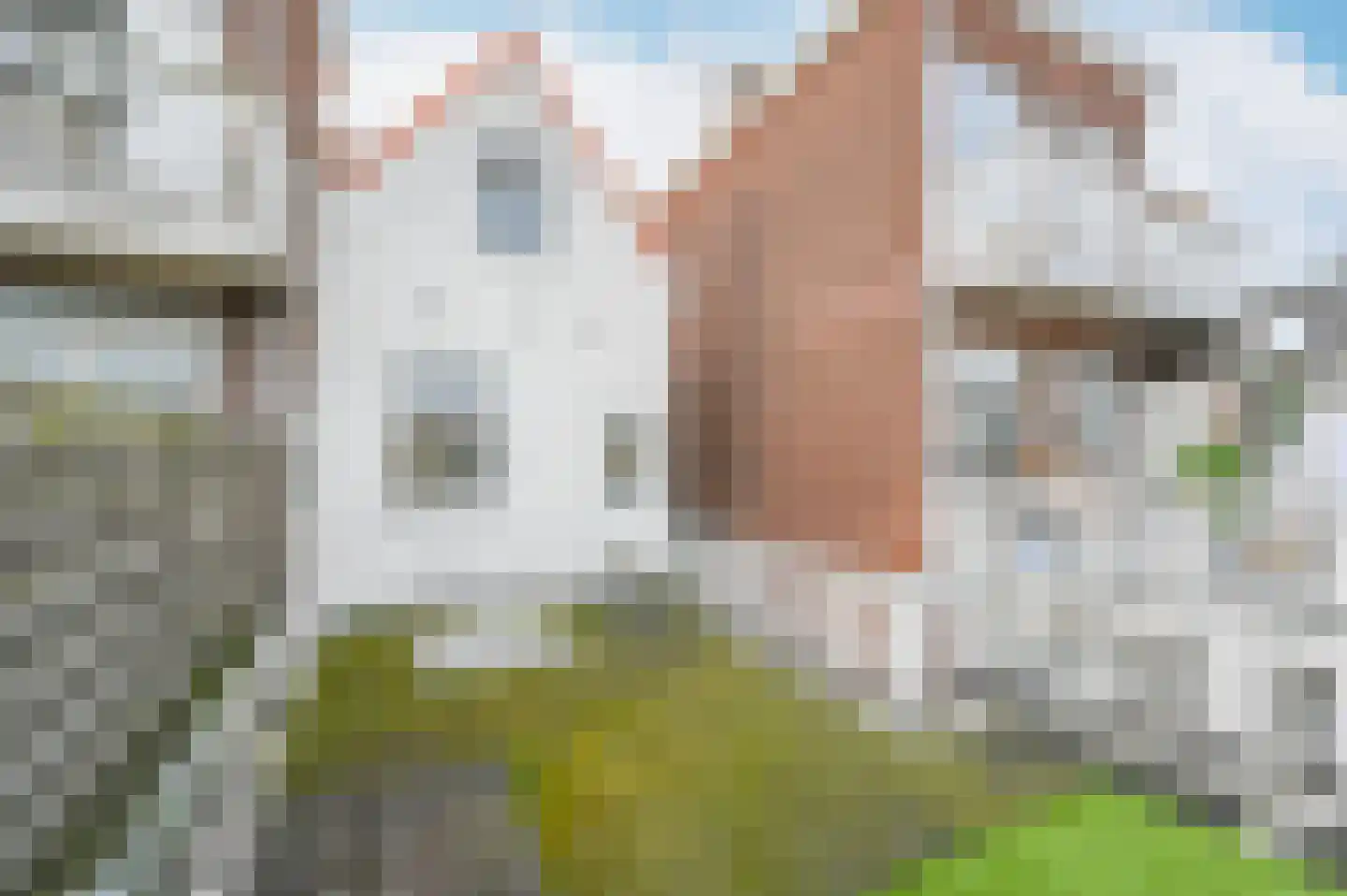 Keizerstraat 48 Den Haag thumbnail 14
