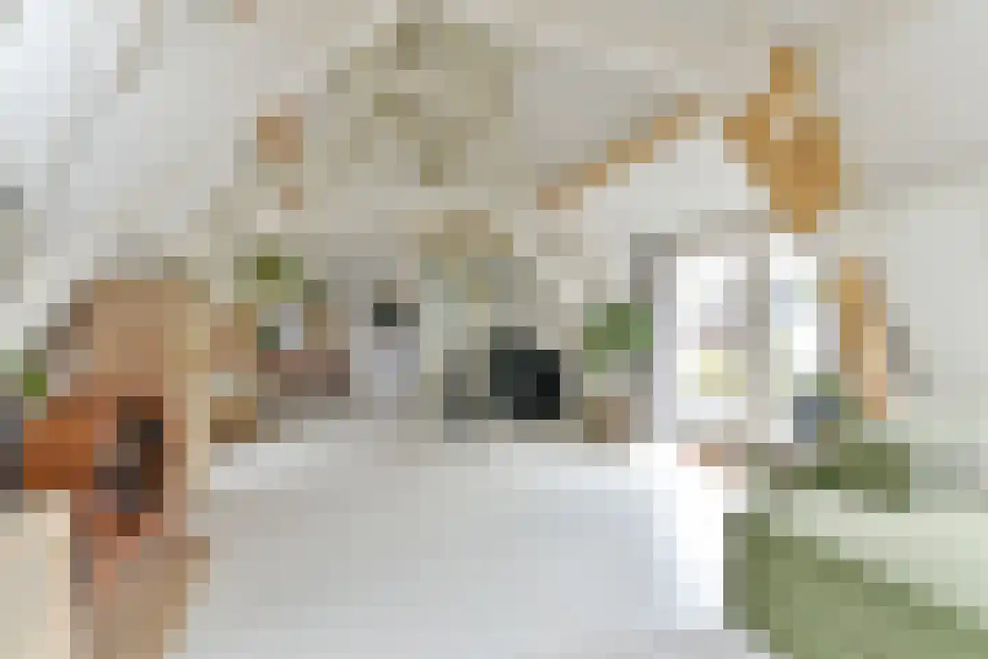 Keizerstraat 49 BS Utrecht thumbnail 10