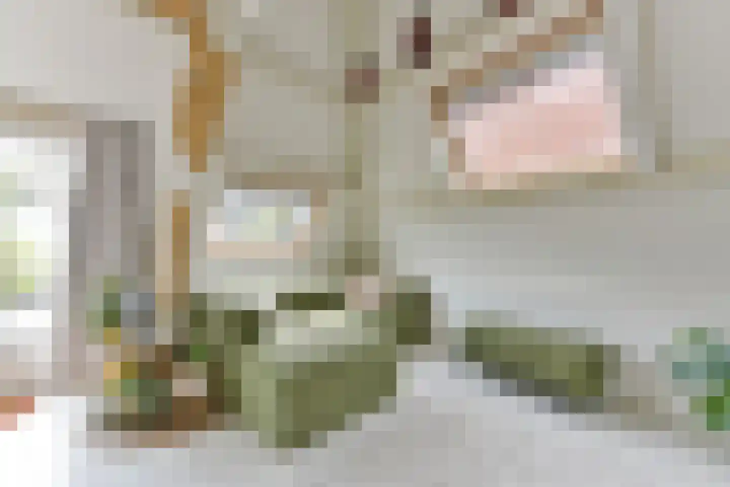Keizerstraat 49 BS Utrecht thumbnail 11