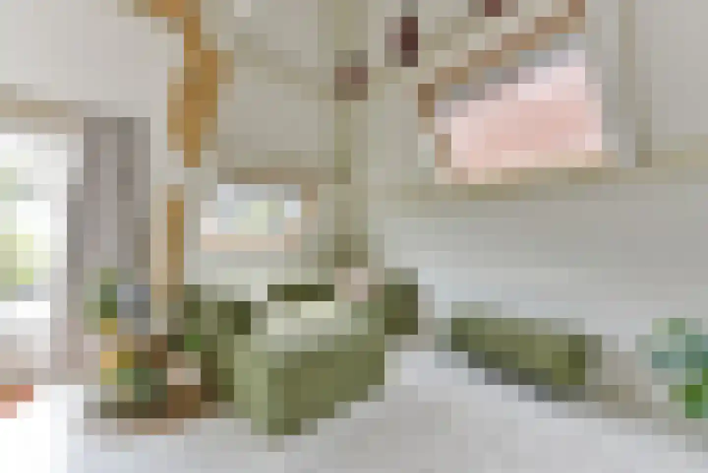 Keizerstraat 49 BS Utrecht thumbnail 12