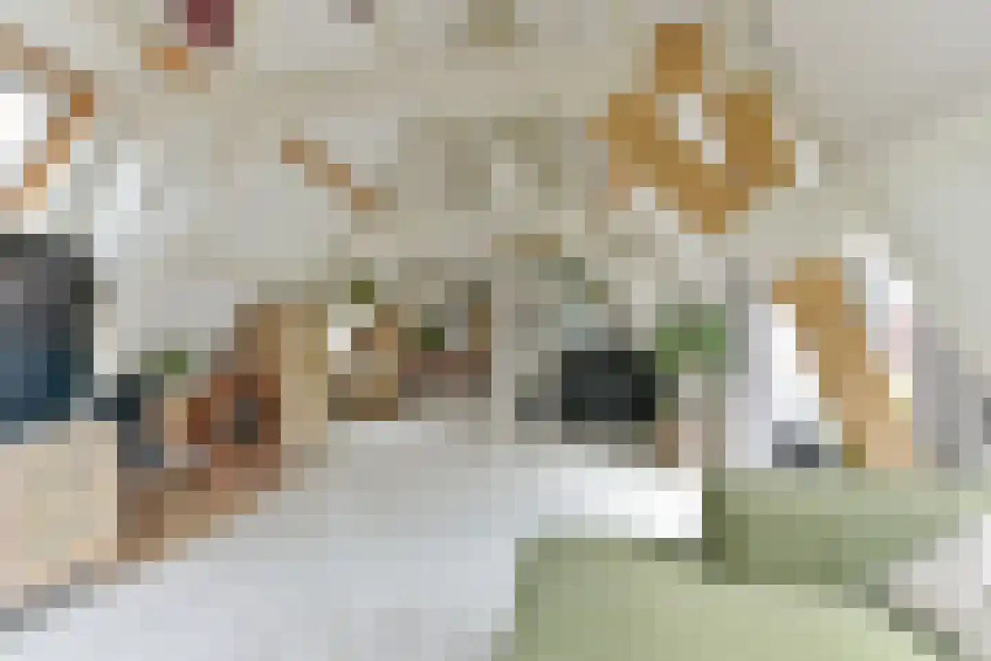Keizerstraat 49 BS Utrecht thumbnail 13